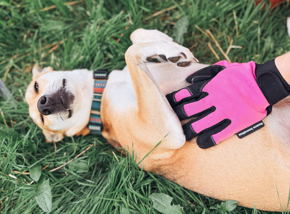 Task Master Glove