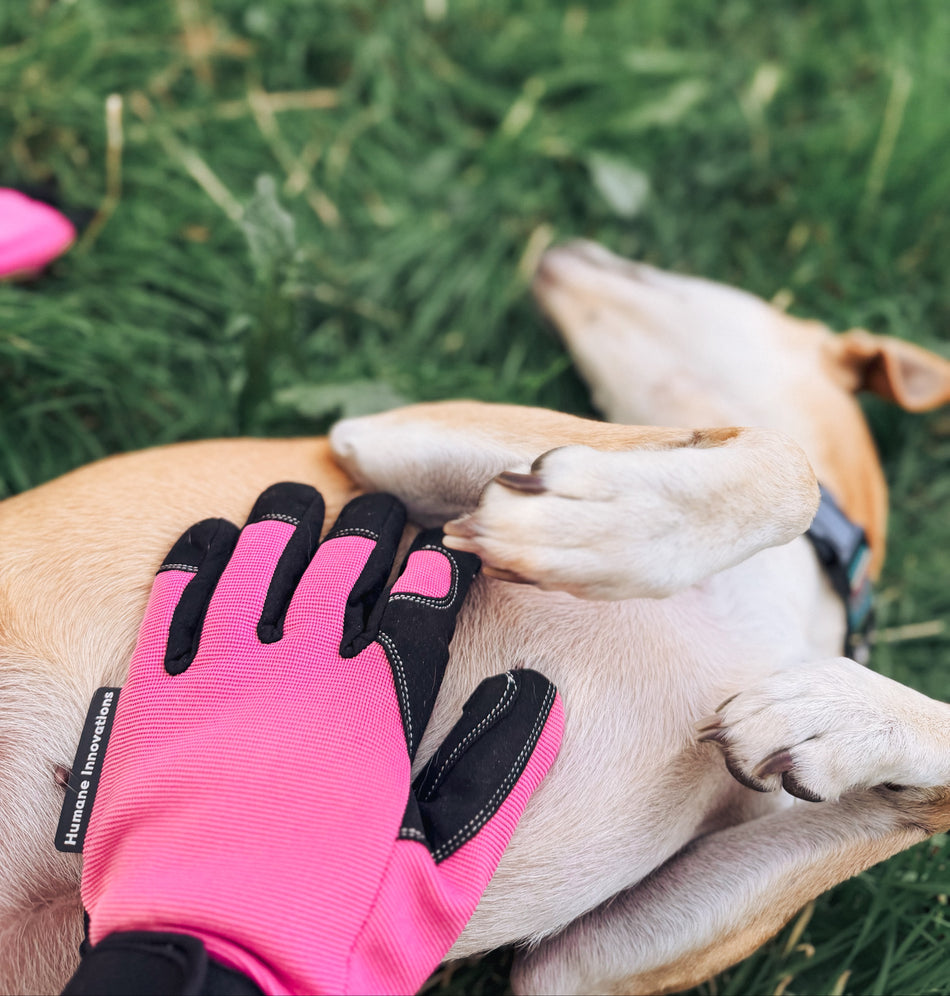 Task Master Glove