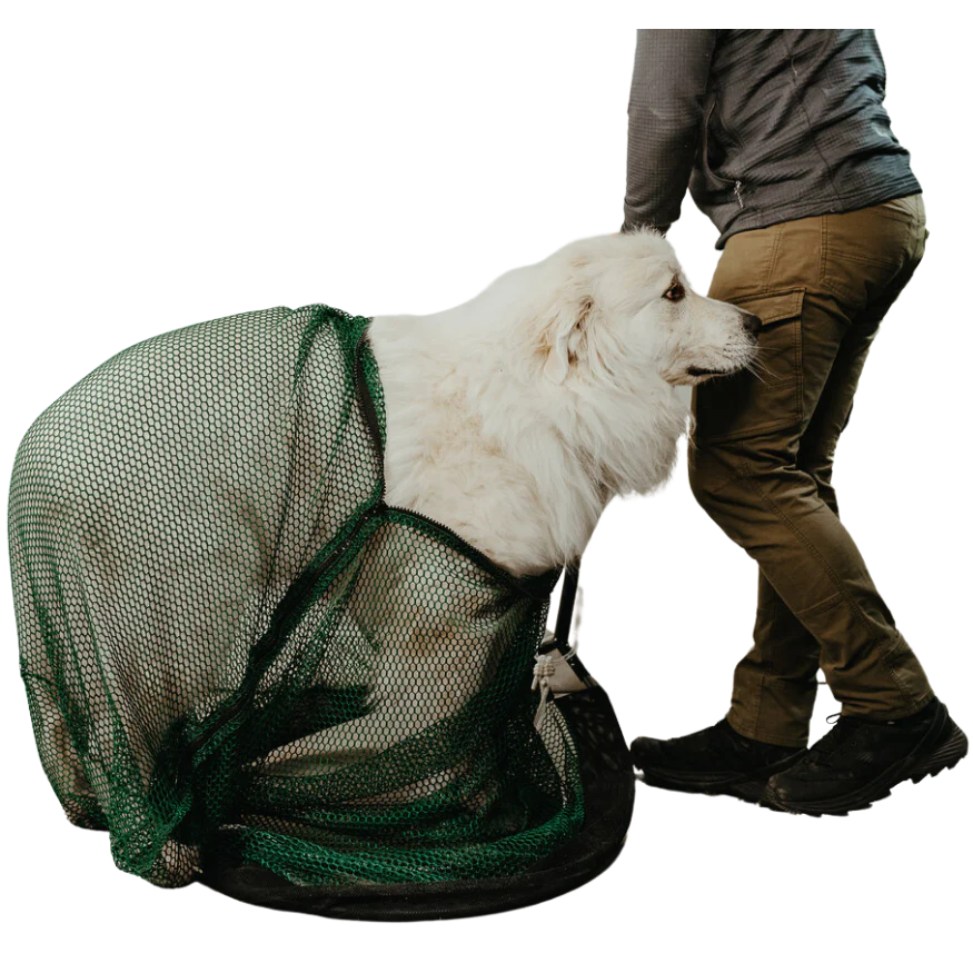 Close-up of Zipper Duraflex buckle attached to black strap, designed for secure fastening on animal safety or rescue gear.