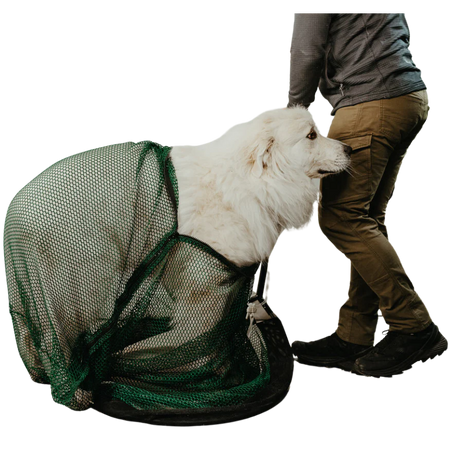 Close-up of Zipper Duraflex buckle attached to black strap, designed for secure fastening on animal safety or rescue gear.