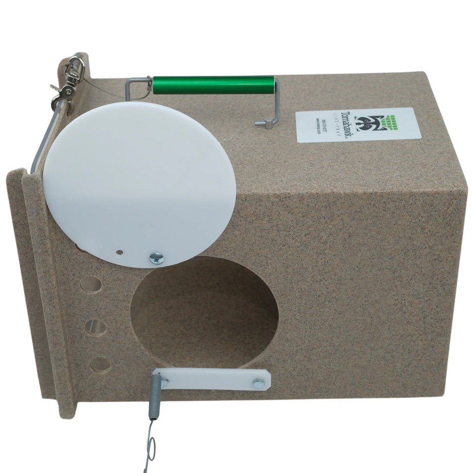 Neighborhood Cats Den