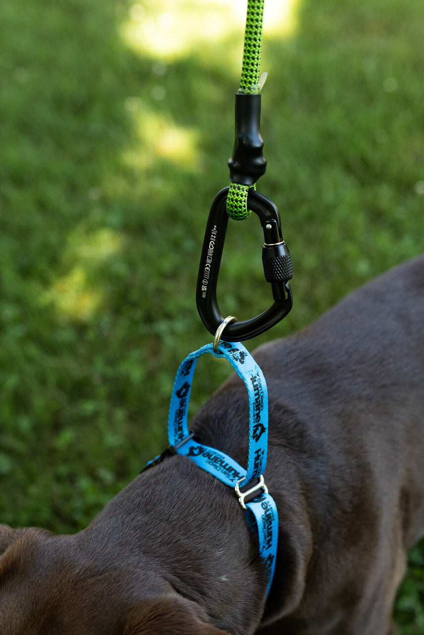 Black Diamond Summit Screw Gate Dog Leash