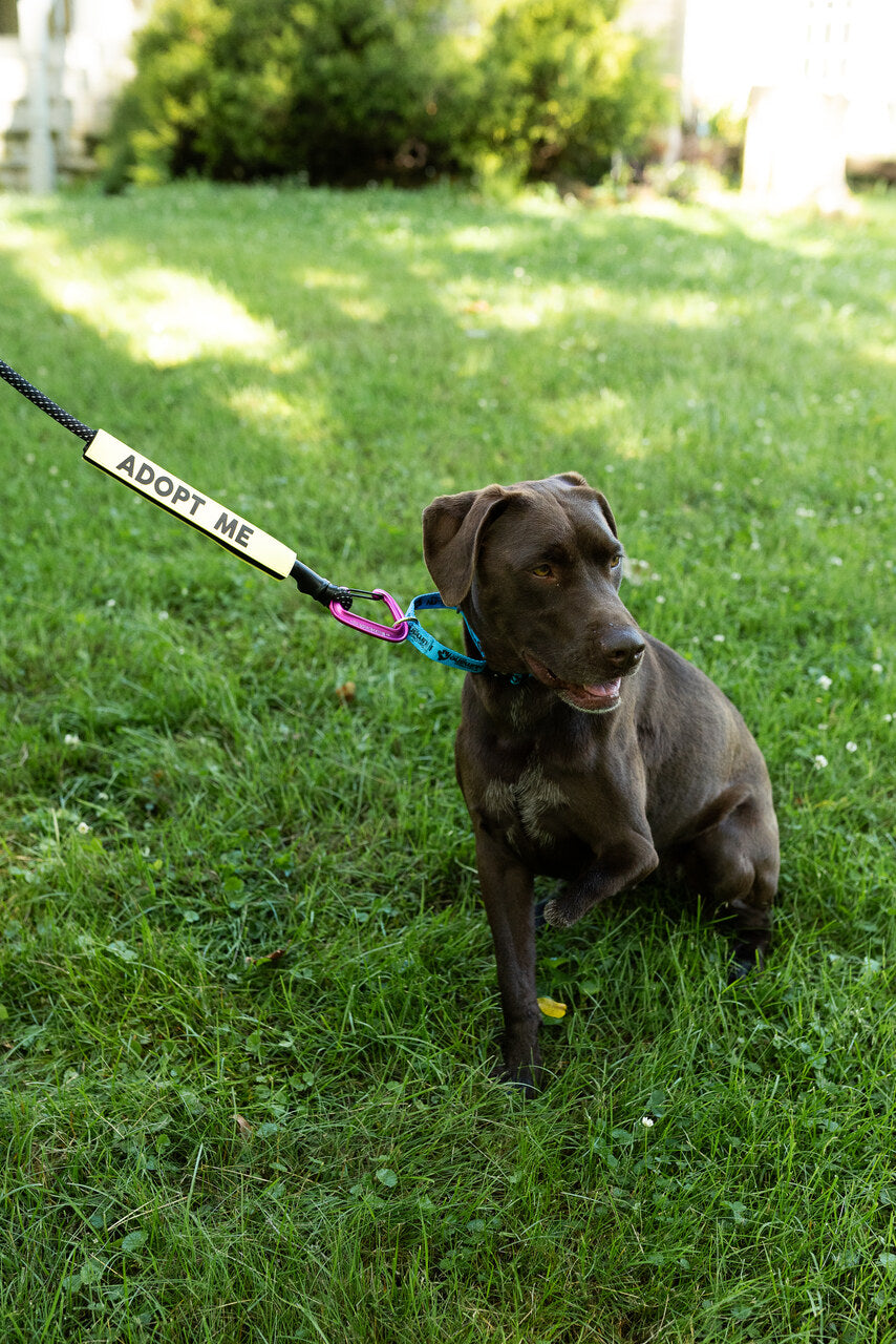 Leash Sleeves