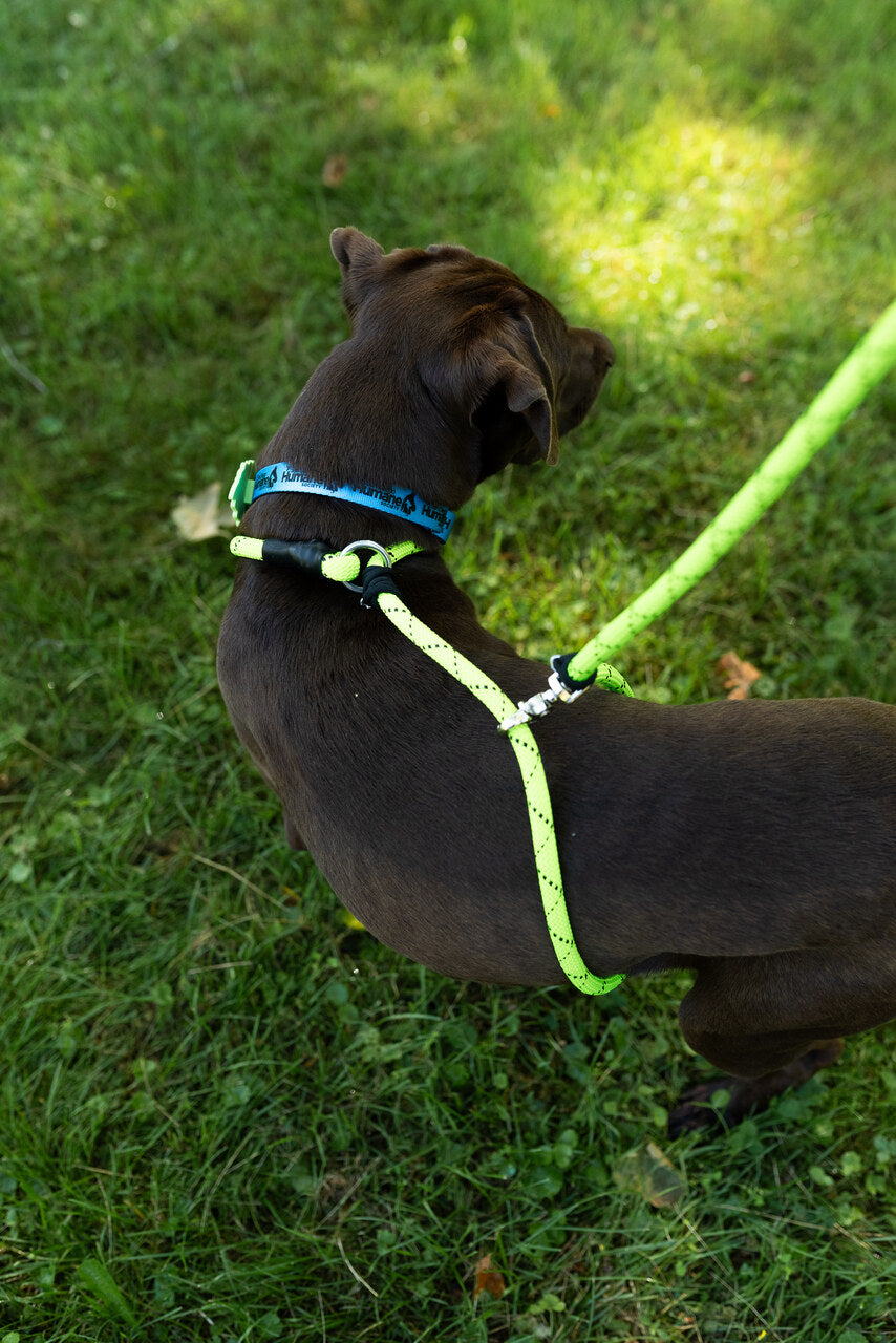 Rescue Pro Harness Leash