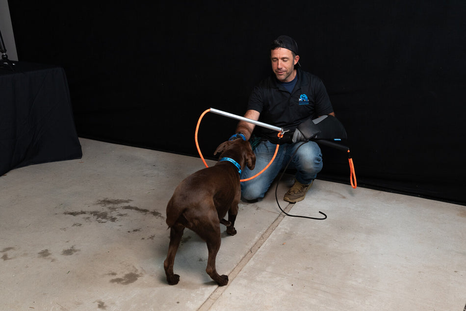 Standard Leash Pole