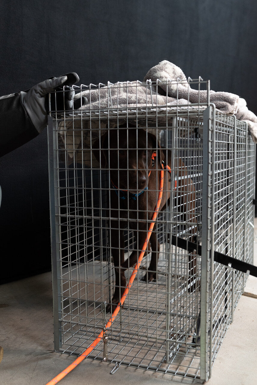 Restraint Module for Large Animals with Release Doors at Both Ends