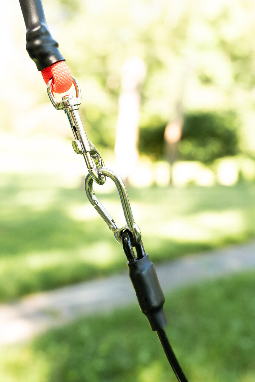 Leash Leader