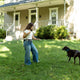 Black Diamond Summit Screw Gate Dog Leash