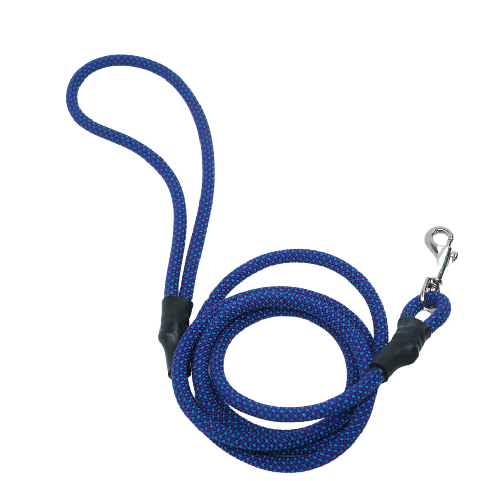 Small dog leash, 6'