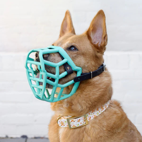 Size Rex, Muzzle Movement